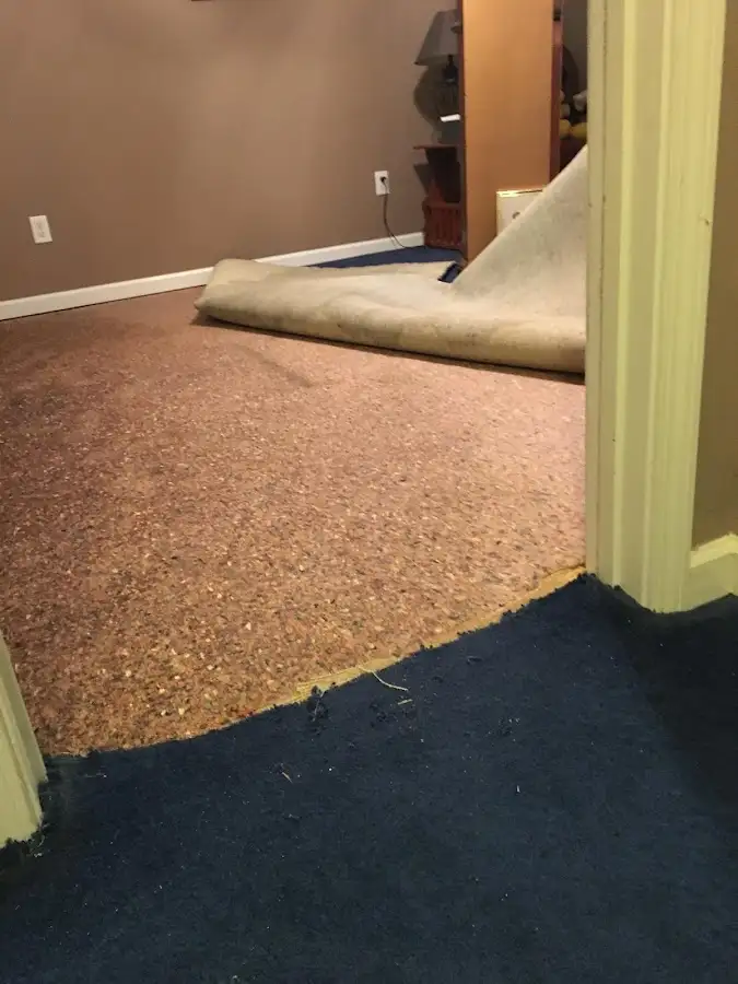 Carpet pad removal revealing water damage during Drying & Dehumidification in Kendale Lakes